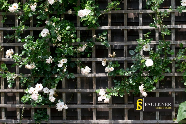 Can I put trellis on my Neighbours garage wall? 2 Do you want to adapt your neighbours garage door and add a trellis Bexley? Talk to Faulkner Surveyor Bexley